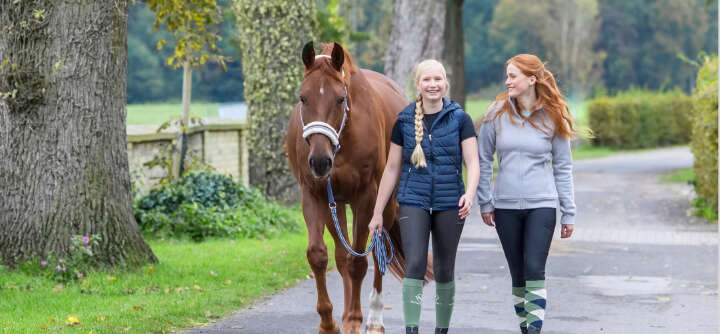 einstiegsbanner reitkleidung reiten bekleidung pferd